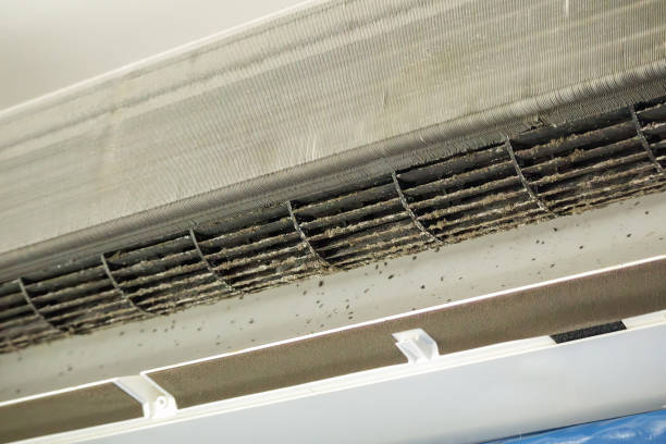 Best Residential Air Duct Cleaning  in Wrens, GA