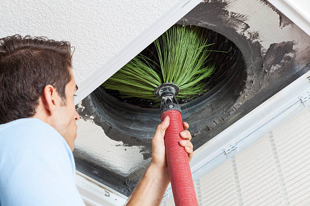 Best Professional Duct Cleaning Services  in Wrens, GA